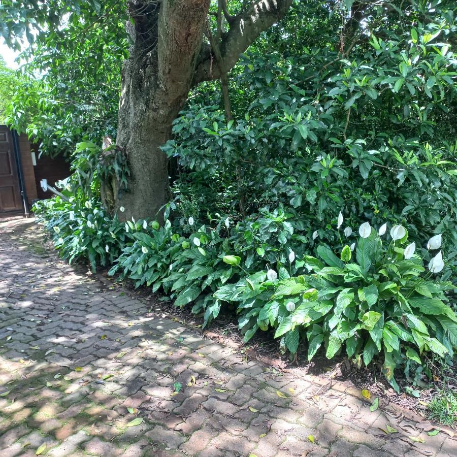 18 Pioneer Bnb Kloof Εξωτερικό φωτογραφία